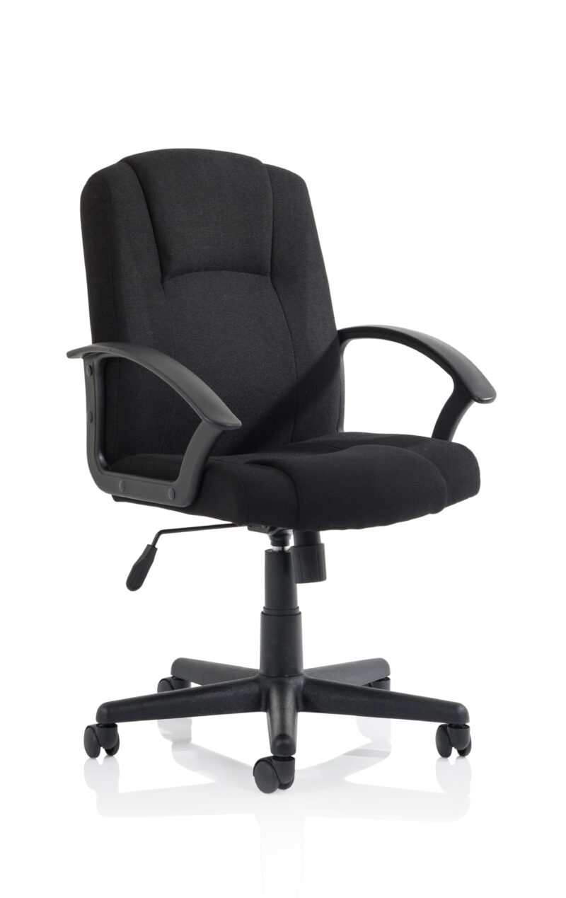 OE - Bella Executive Managers Chair - Image 2